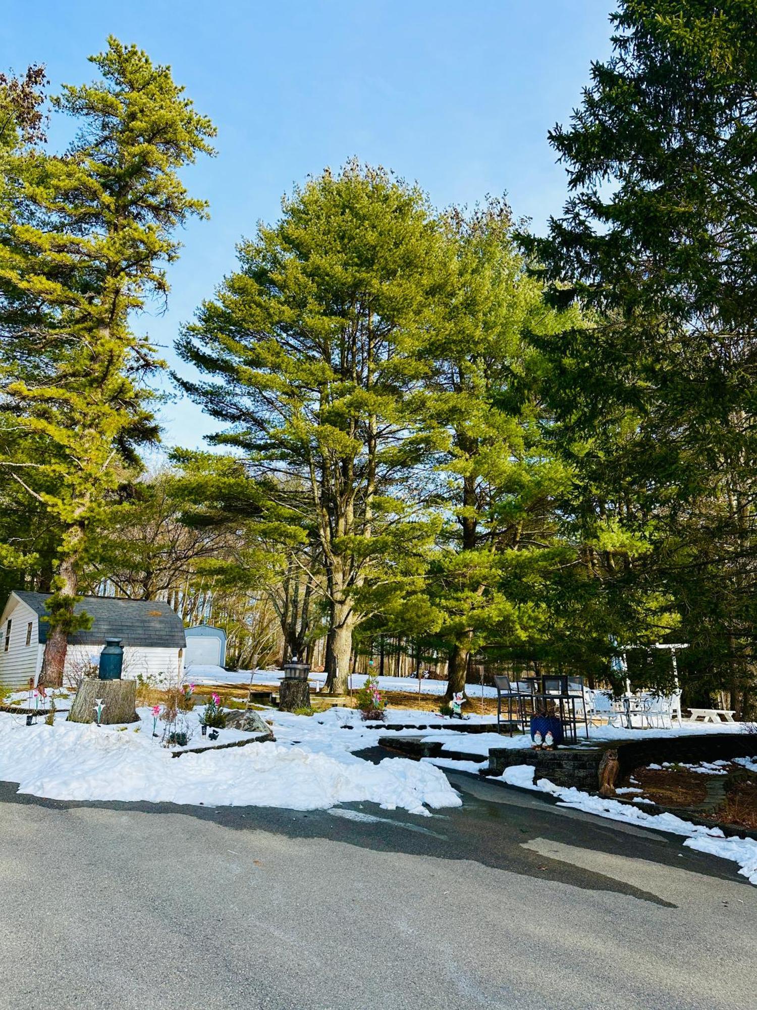 Holiday home The Vacation